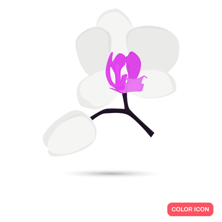 Orchid flower color flat icon for web and mobile designのイラスト素材