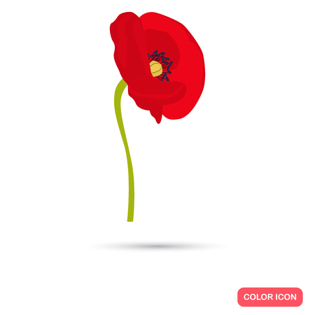Poppy color flat icon for web and mobile designのイラスト素材