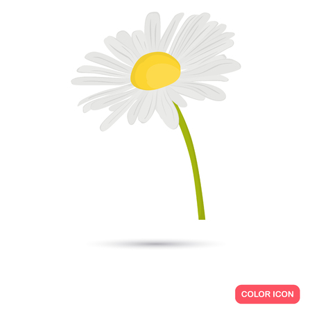 Chamomile flower color flat icon for web and mobile designのイラスト素材