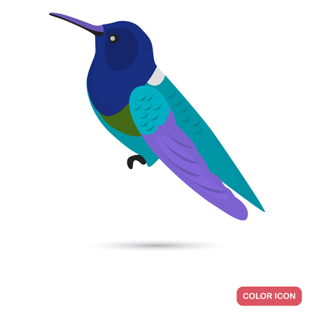 Hummingbird color flat icon for web and mobile designのイラスト素材
