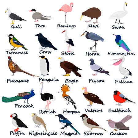 Set of color birds icons for web and mobile designのイラスト素材