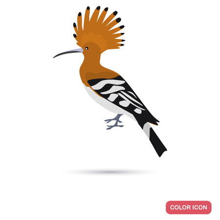 Hoopoe color flat icon for web and mobile designのイラスト素材