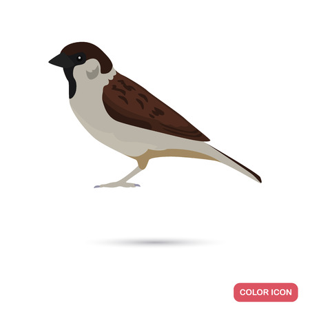 Sparrow color flat icon for web and mobile designのイラスト素材