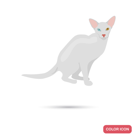 Oriental cat breed for web and mobile designのイラスト素材
