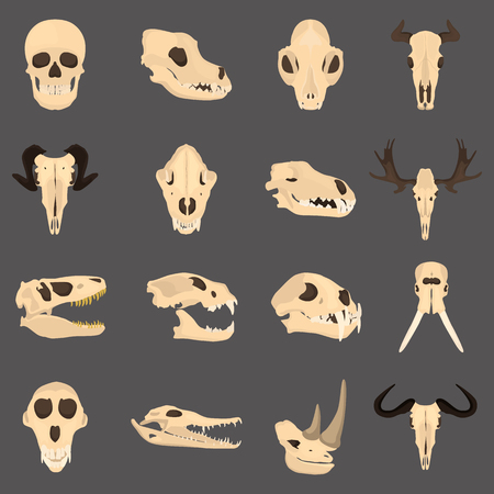 Set of mammal and reptile skulls color flat icon for web and mobile designのイラスト素材