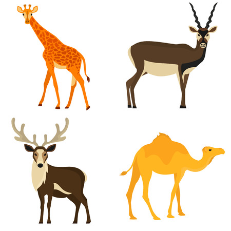 Set of hoofed animals color flat icons for web and mobile designのイラスト素材