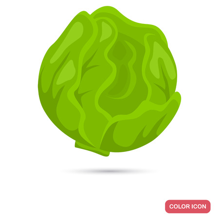 Cabbage color icon for web and mobile designのイラスト素材