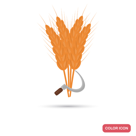 A sheaf of wheat cut with a sickle color icon for web and mobile designのイラスト素材