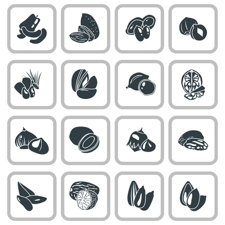 Nuts simple icons set vector illustration.のイラスト素材