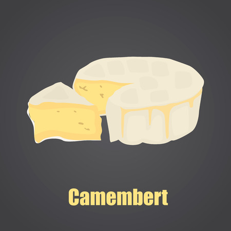 Camembert cheese slise and head color flat iconのイラスト素材
