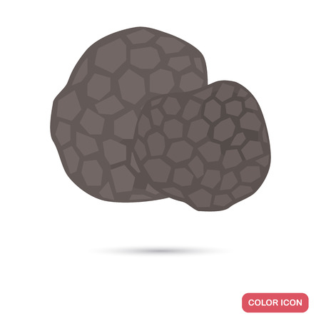 Truffle mushrooms color flat icon for web and mobile designのイラスト素材