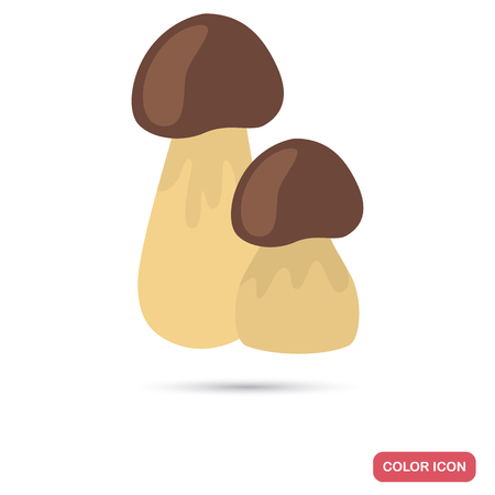 Porcini mushrooms color flat icon for web and mobile designのイラスト素材