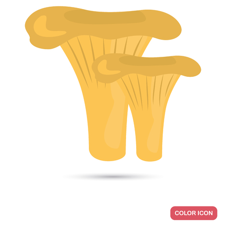 Chanterelles mushrooms color flat icon for web adn mobile designのイラスト素材