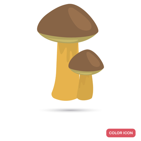 Edible mushrooms color flat icon for web and mobile designのイラスト素材