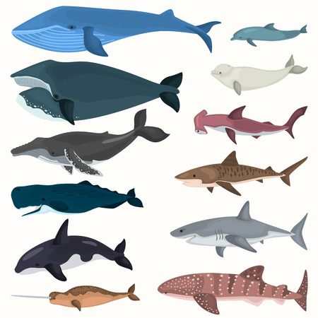 Set of color giant inhabitants of the sea depths iconsのイラスト素材