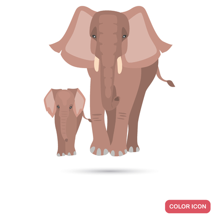Elephant with cub color flat icon isolated on plain background.のイラスト素材