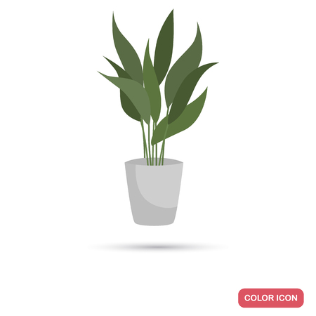Aspidistra houseplant color flat icon.のイラスト素材
