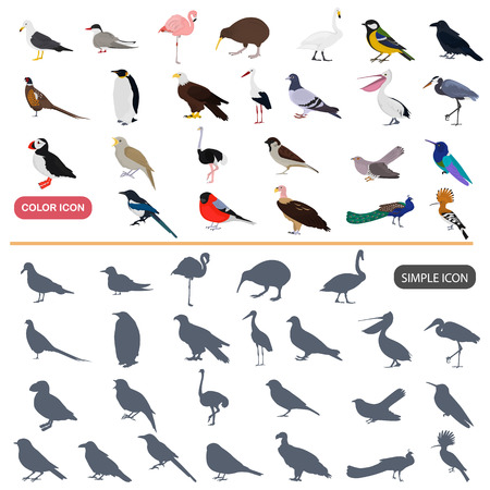 Color flat and simple birds icons setのイラスト素材