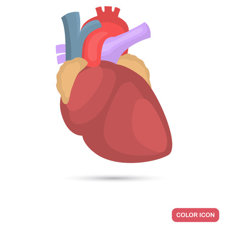 Human heart color flat iconのイラスト素材