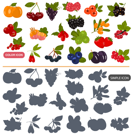 Berries color flat and simple icons setのイラスト素材