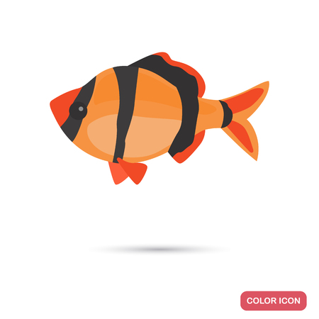 Aquarium barb fish color flat iconのイラスト素材