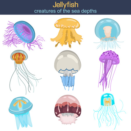 Set of different color flat jellyfish iconsのイラスト素材
