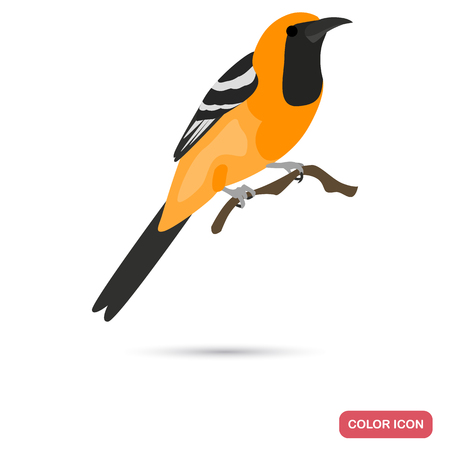 Oriole bird color flat icon for web and mobile designのイラスト素材
