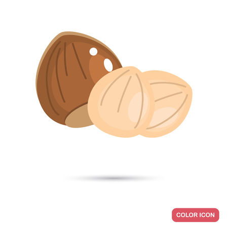 Hazelnuts color flat iconのイラスト素材