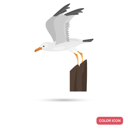 Soaring seagull color flat iconのイラスト素材