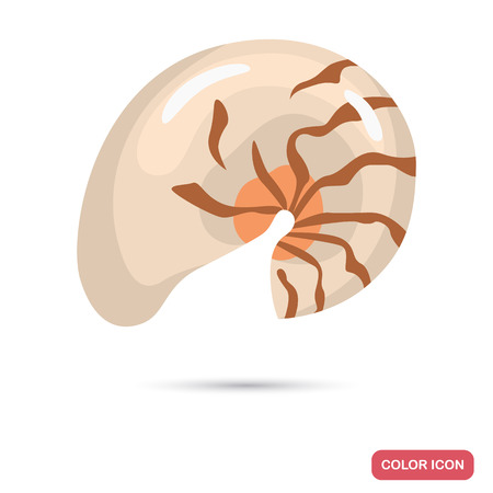 Sea shell cartoon color high quality iconのイラスト素材