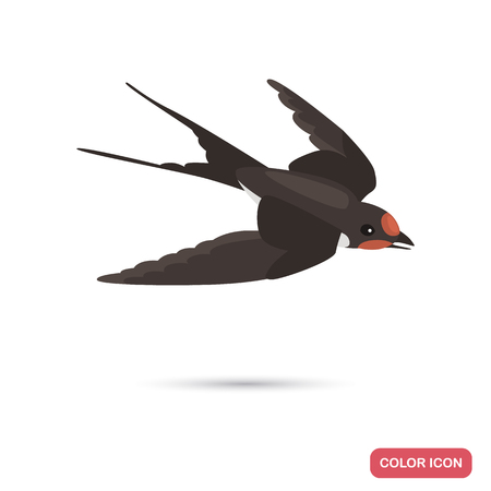Swallow birs color flat icon for web and mobile designのイラスト素材