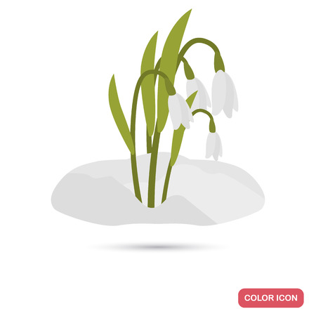 Smowdrop flowers color flat icon for web and mobile designのイラスト素材