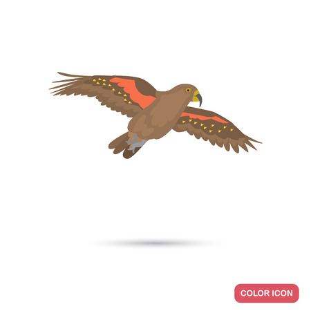 Parrot kea color flat icon for web and mobile designのイラスト素材