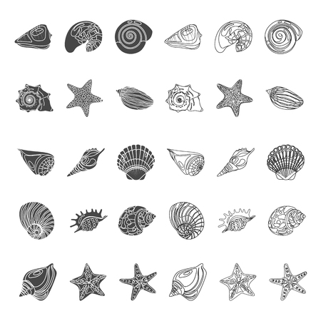 Shells and sea stars simple and line icons set. Vector conceptのイラスト素材