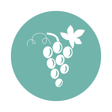 Grape iconの写真素材