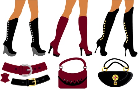 Women's footwear and handbag のイラスト素材