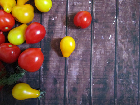 tomatoesの写真素材