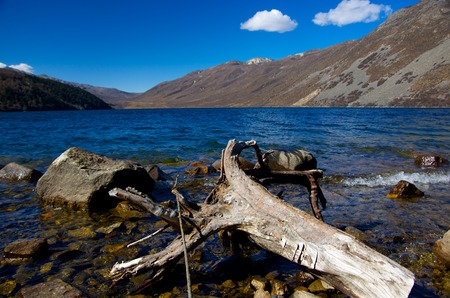 wood logs by the lakeの写真素材
