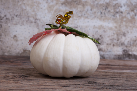 White pumpkins on the old wooden floorの写真素材
