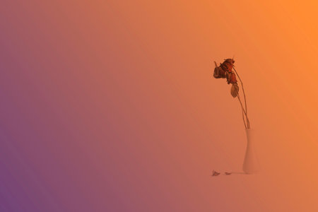 Dry rose in a vase.Vintage style, concept waiting unrequited.の写真素材