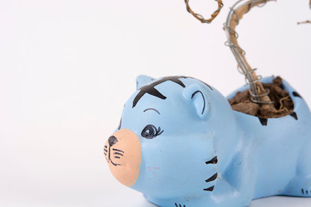 Bonsai-tree dry on cat flower potの写真素材