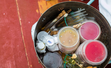 Petri dishes and test tubes stacked in metal container