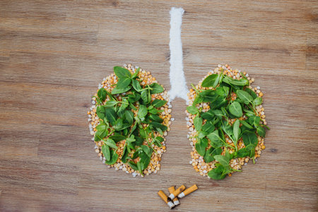Overhead shot of human lungs made of dry peas and green leaves. Cigarette butts stubs next to the lungs. Smoking health risks, breathing polluted air concept issue symbol. Copy space.の写真素材