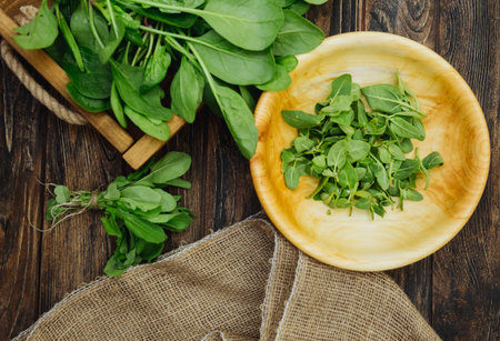 Rustic wooden tray with fresh organic local spinach leaves plants on a table. Wooden plate with greens, arugula. First spring summer crop. Vegetarian vegan healthy food. Grow your own, eat localの写真素材