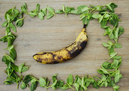 Overripe brown banana in rectangle shape frame of wild edible green leaves on wooden background. Healthy vegetarian vegan organic food, overhead shotの写真素材