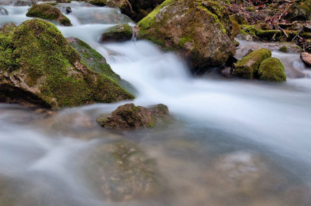 flows mountain yard