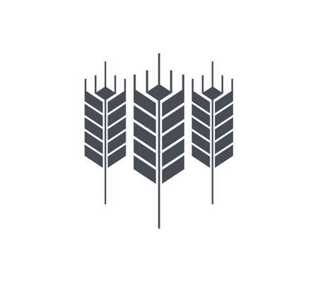 Wheat icon vector illustration on white backgroundのイラスト素材