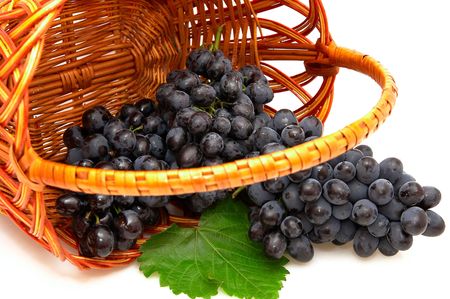 Bunches of grapes  isolated on a white background.の写真素材