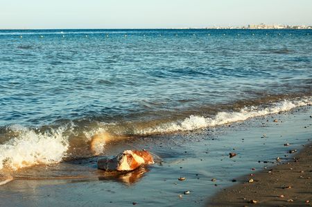 Coast in the exotic country.の写真素材