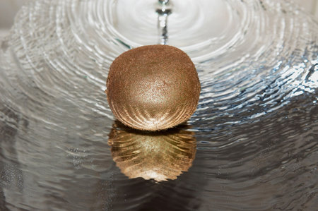Kiwi on a  ripple water.の写真素材